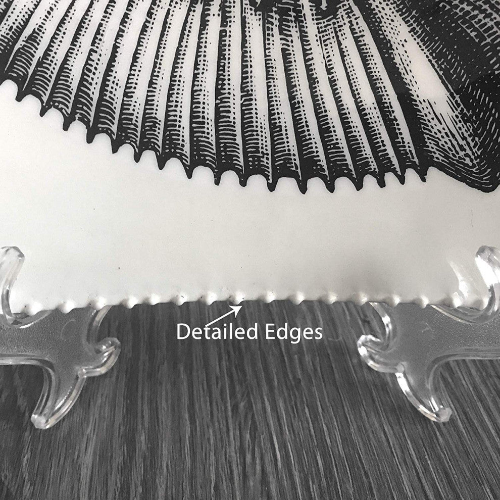 Decorative Tray with Display Stand with Nautilus Shell in Black & White, Medium