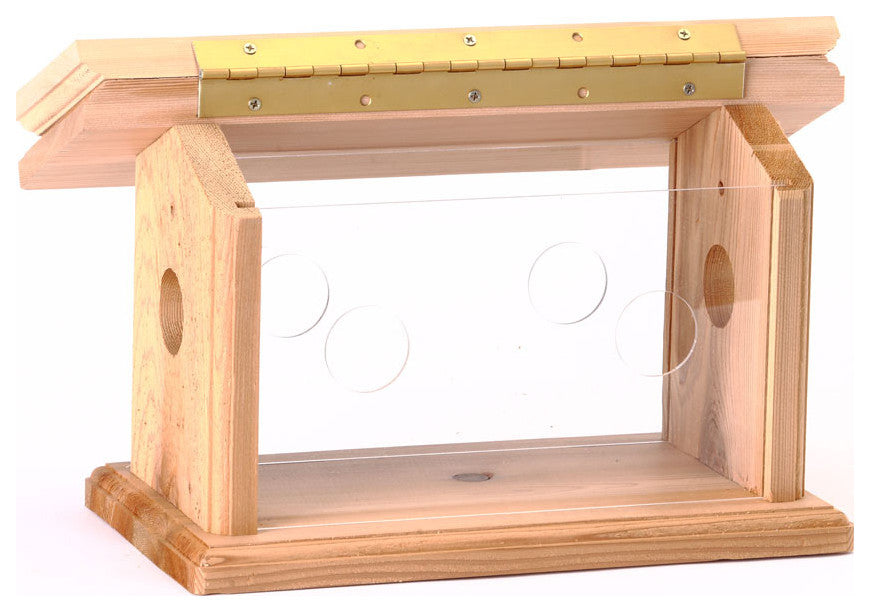 Cedar Bluebird Feeder