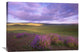 "Large-Leaved Lupine, Carrizo Plain National Monument, California" Artwork