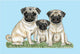 Pugs Door Mat 18x26