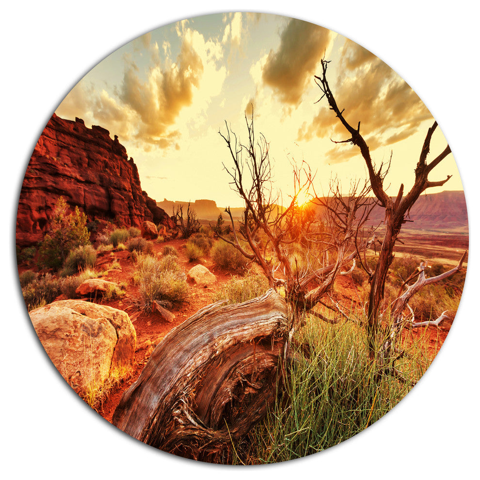 Colorful Fall American Prairie, Landscape Disc Metal Artwork, 11"