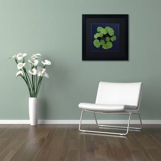 'Giant Lily Pad Abstract' Matted Framed Canvas Art by Kurt Shaffer