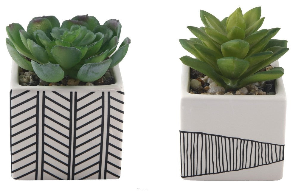 2-Piece Succulent, Tribal White Ceramic Pot Set, 4"