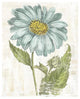 "Bloemen Boek II" Digital Paper Print by Sue Schlabach, 22"x26"