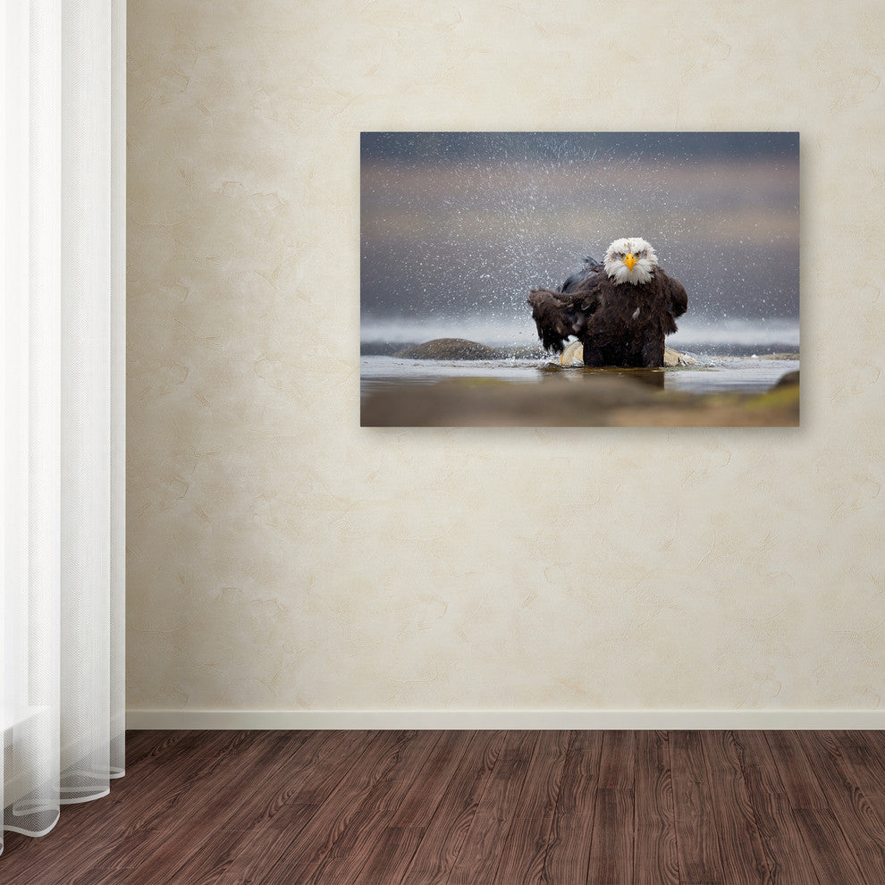 Milan Zygmunt 'Bald Eagle' Canvas Art, 22x32