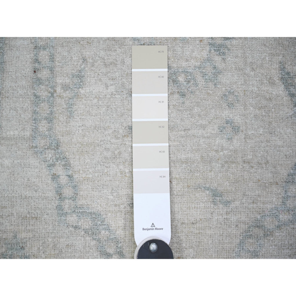 Ash Gray, Stone Washed Peshawar Wool Hand Knotted Oriental Rug, 9'x11'8"