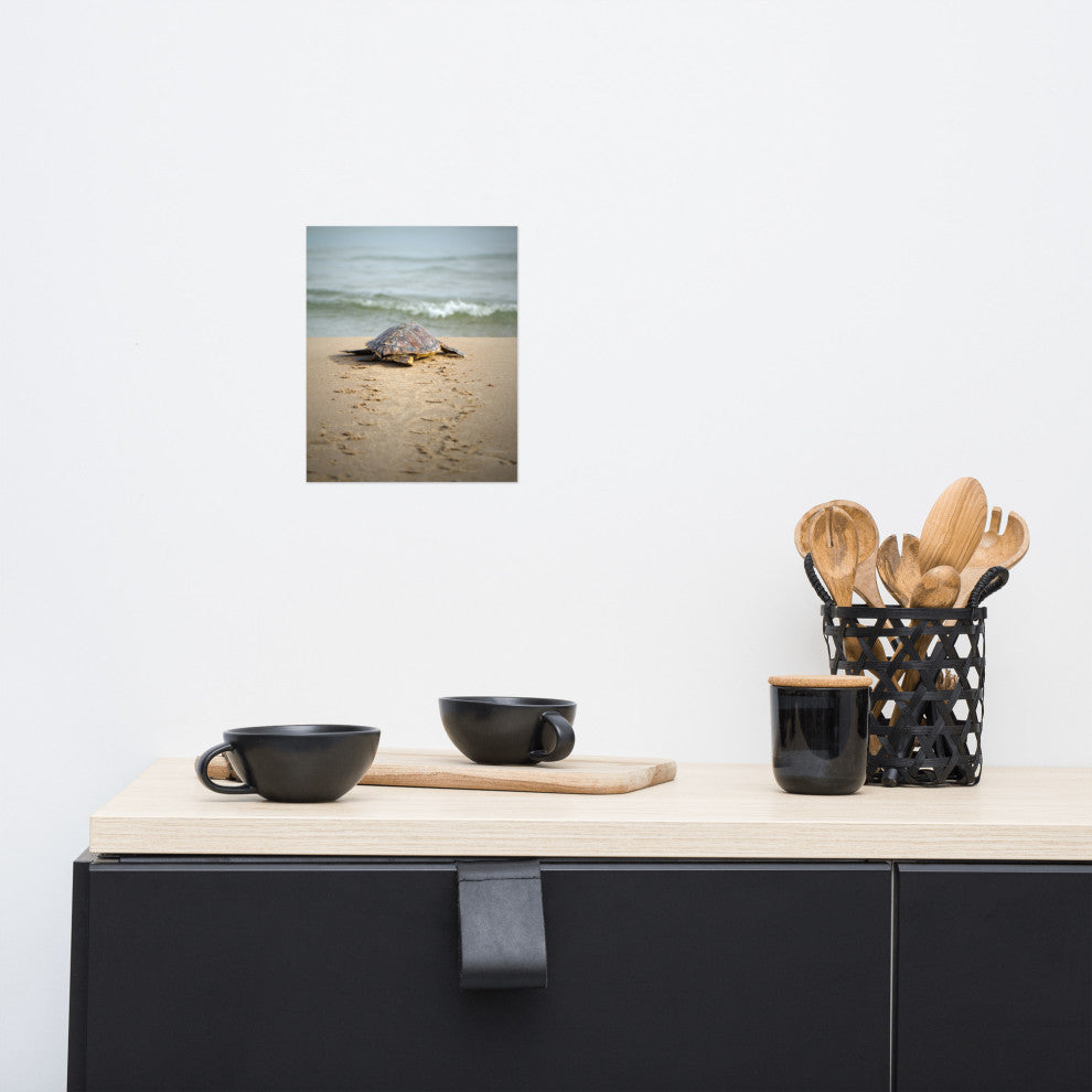 Baby Loggerhead Sea Turtle Beach Ocean Photograph Loose Wall Art Print, 8" X 10"