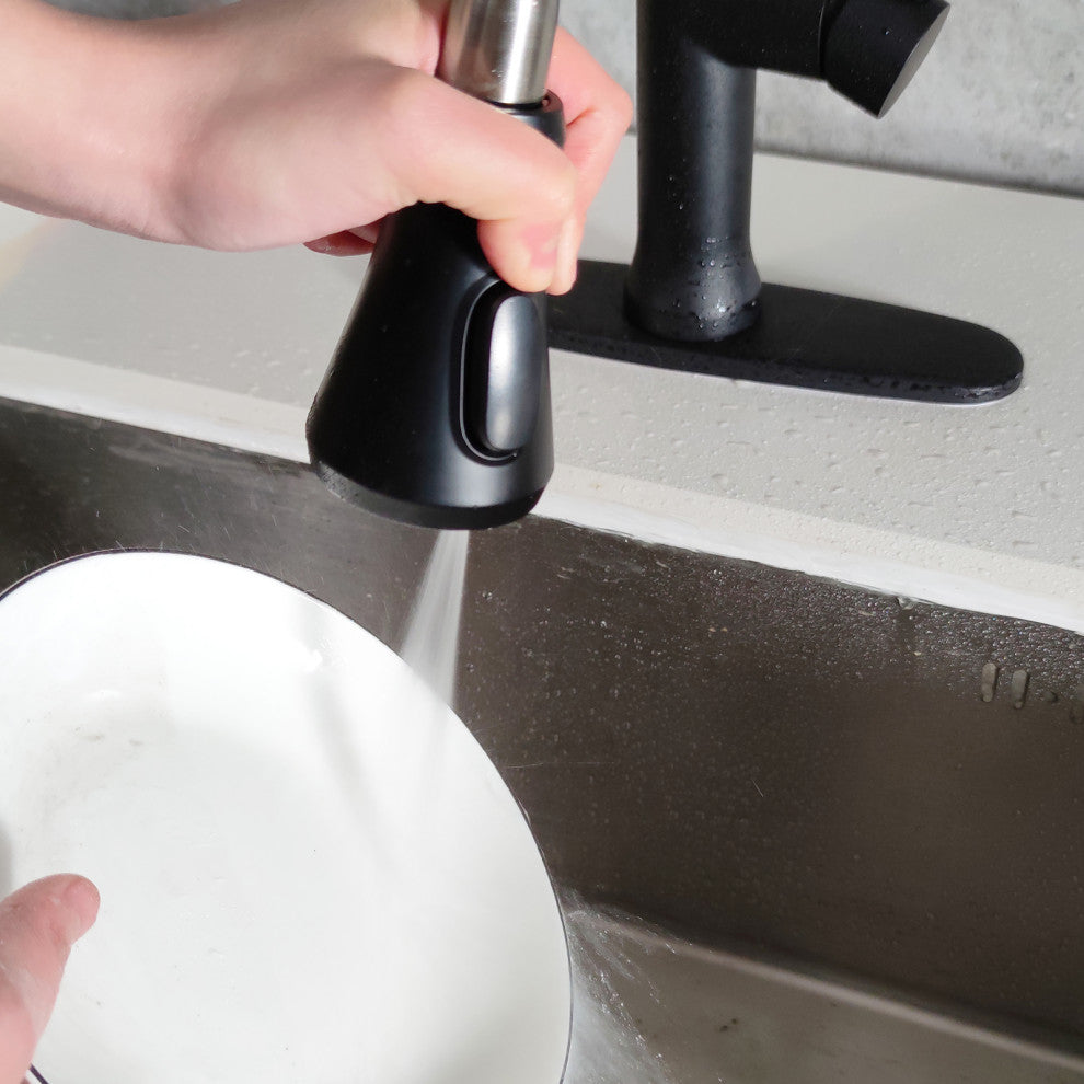 Matte Black Stainless Steel Single Handle Pull Out Kitchen Sink Faucet