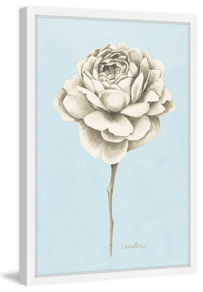 "Botanical Study I" Framed Painting Print, 16"x24"