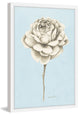 "Botanical Study I" Framed Painting Print, 16"x24"