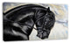 Friesian Horse Painting, Animal Canvas Art Print, 32"x16"