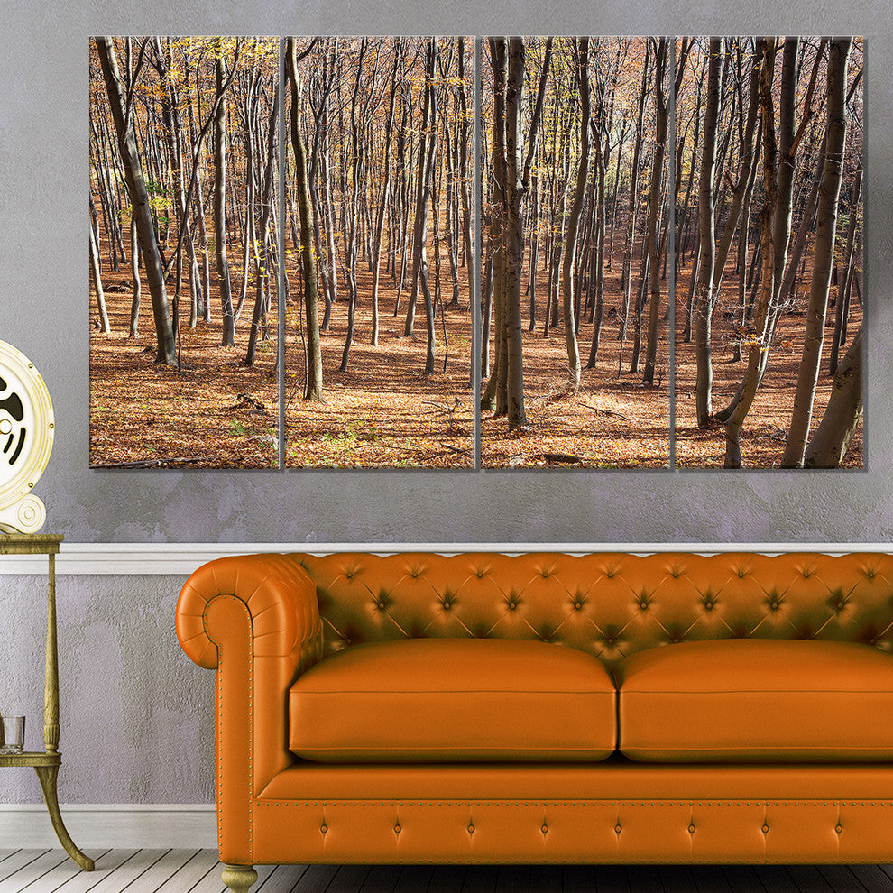 Thick Carpathian Deciduous Forest, Forest Canvas Art Print, 48"x28", 4 Panels