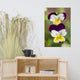 Pretty Little Violets Floral / Botanical Photograph Unframed Wall Art Prints, 24" X 36"