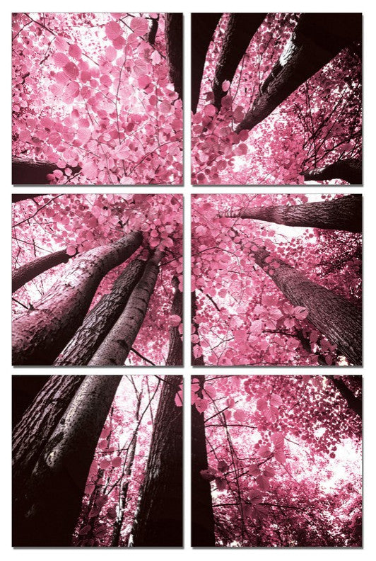 24" Canvas 6 Panels Blossom Trees Color Photo