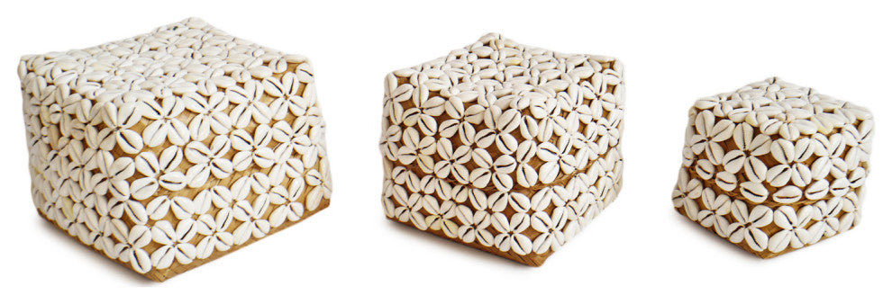 Cowry Shell Box Small