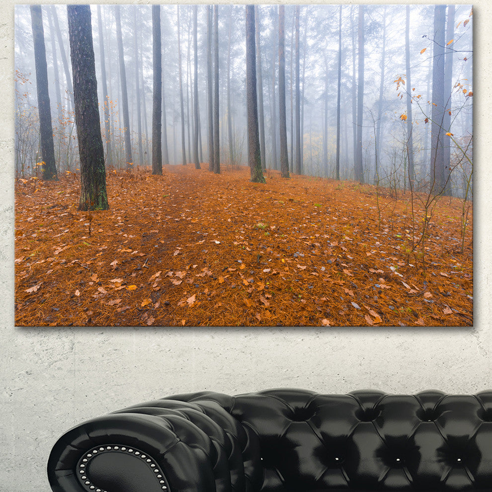 Foggy Forest and Fallen Leaves, Modern Forest Canvas Art, 40"x30"