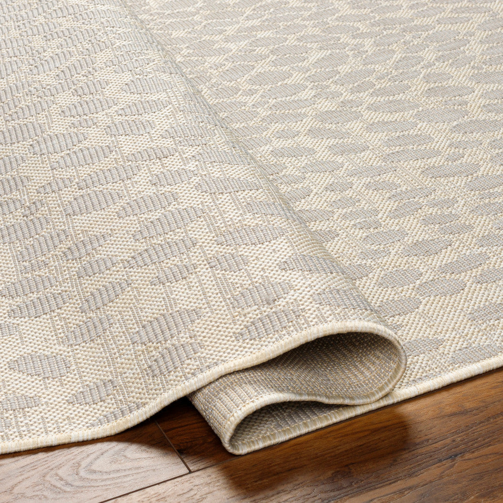 Surya Ravello RVL-2357 Indoor/Outdoor Area Rug