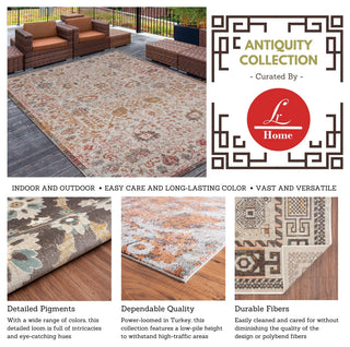Rustic Transitional Medallion Woven Indoor Outdoor Rug, 7'9"x9'9"