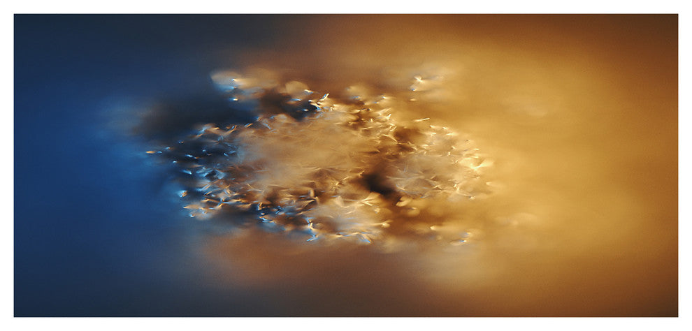 Small Macro Prickly Texture Brown, Oversized Abstract Canvas Wall Art, 60"x28"