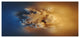 Small Macro Prickly Texture Brown, Oversized Abstract Canvas Wall Art, 60"x28"