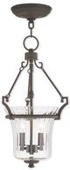 Livex 50922-07 2-Light Antique Brass Pendant, Bronze