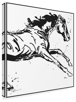 "Black Scribble Horse" by Sher Sester, Canvas Art, 35"x35"
