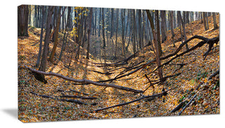 Thick Autumn Forest Panorama, Landscape Canvas Art Print, 32"x16"