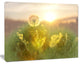 Dandelion Blooming Flower in Field, Floral Canvas Art Print, 20"x12"