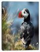 Cute Puffin Relaxing, Animal Art Painting, 30"x40"