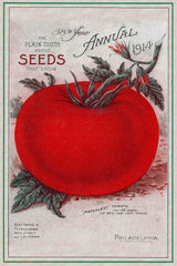 "Tomatoes" Painting Print on Canvas