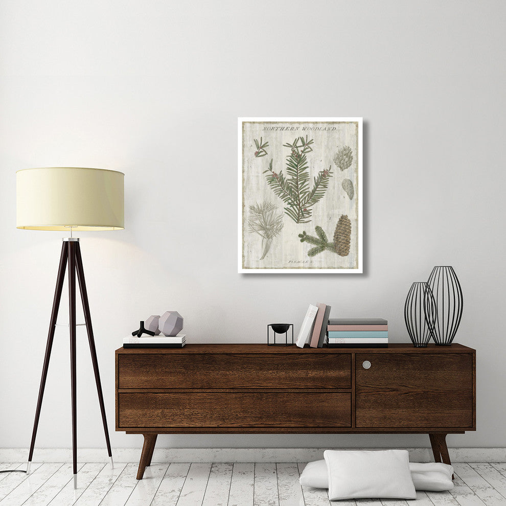 "Woodland Chart II" Digital Paper Print by Sue Schlabach, 30"x37"