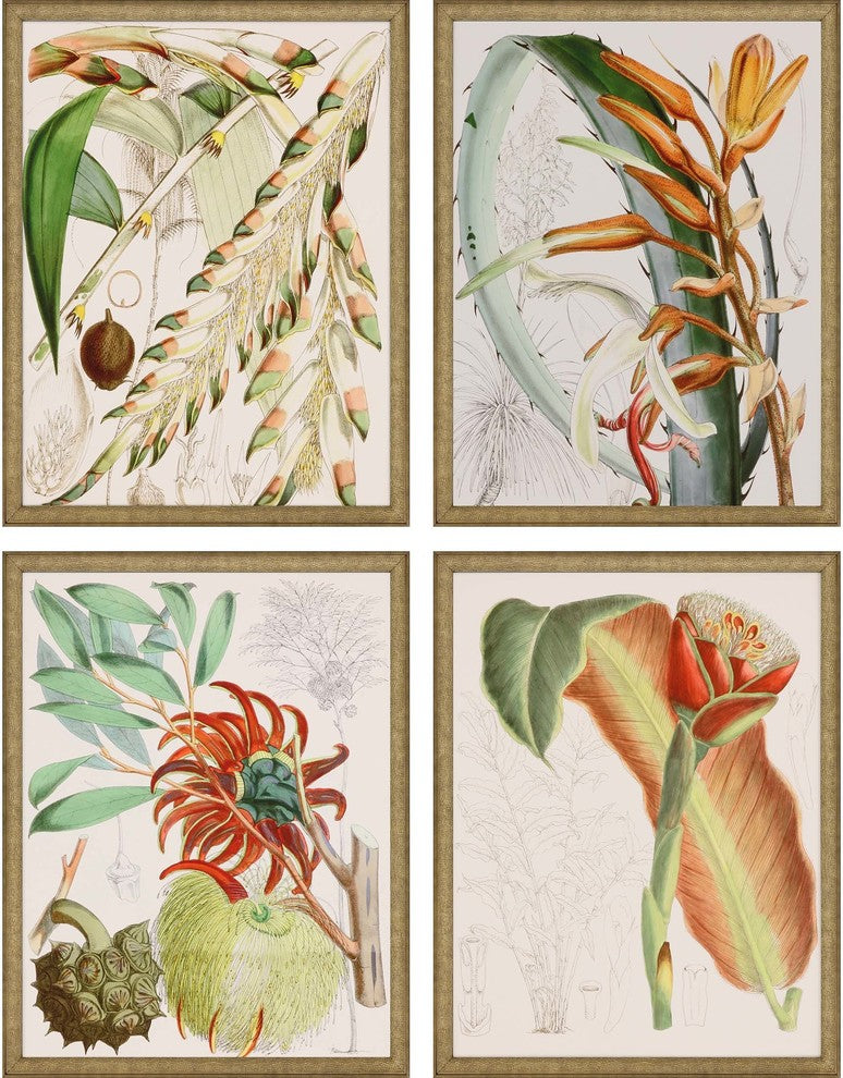 Tropical Variety, Set of 4