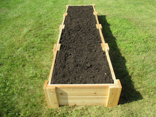 Cedar Raised Bed Garden Kit, 2 ft. x 8 ft. x 11 in. H