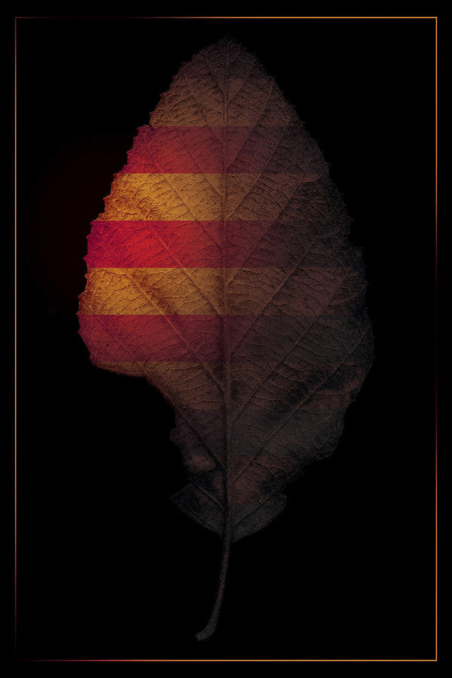 Marmont Hill, "Seasons" by Bryon White Painting Print on Wrapped Canvas, 30x45