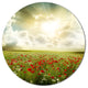 Dramatic Sky Over Poppy Field, Landscape Round Wall Art, 11"