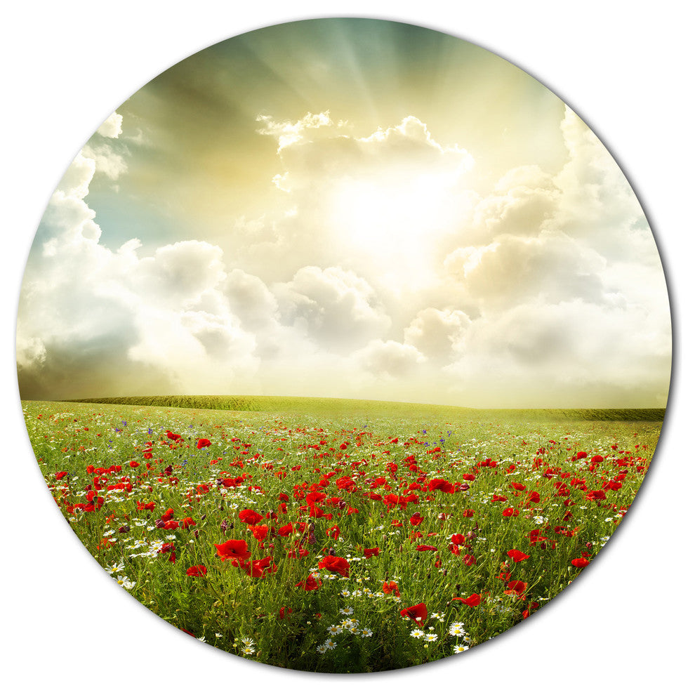 Dramatic Sky Over Poppy Field, Landscape Round Wall Art, 11"
