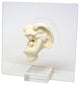Roman Lasting Expressions Guardian Angel Verse Glass Plaque With Stand