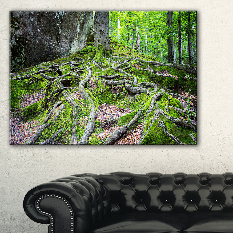 "Deep Moss Forest in Ukraine" Landscape Art Print Canvas, 1 Panel, 60"x28"