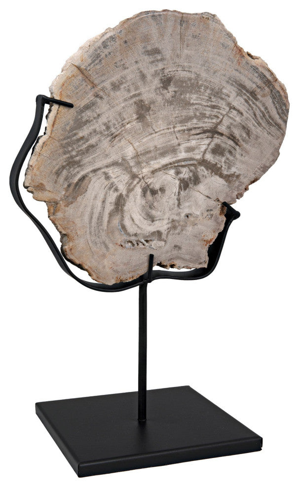 Wood Fossil with Stand, 8"
