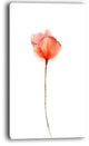 "Watercolor Large Red Poppy Flower" Flower Wall Art, 16"x32"