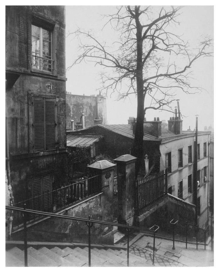 "Paris, 1921 - Staircase, Montmartre" Paper Print by Eugene Atget, 15"x18"