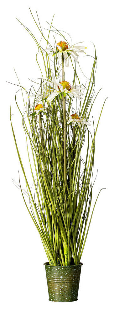 Vickerman Daisy Grass In Iron Pot, Unlit, 24"