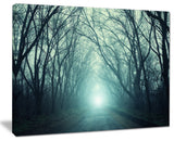 "Fall Forest Path With Green Light" Landscape Photo Wall Art, 40"x30"