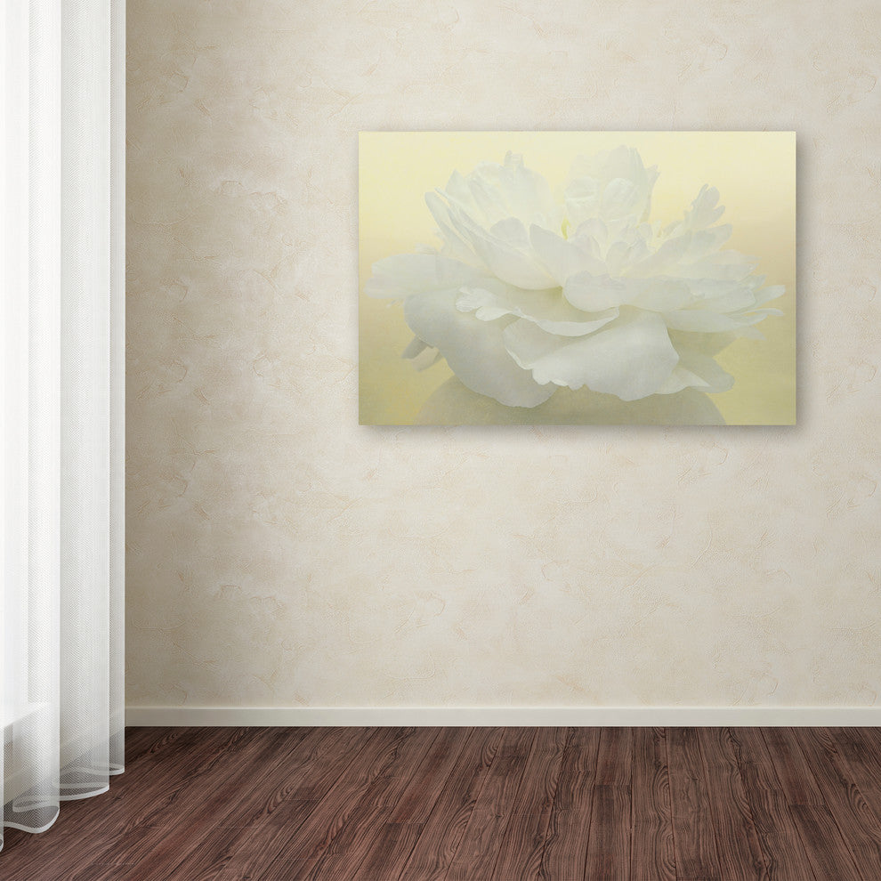 Cora Niele 'Pure White Peony' Canvas Art