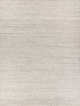 Rialto Handwoven Polyester and Cotton Gray Area Rug