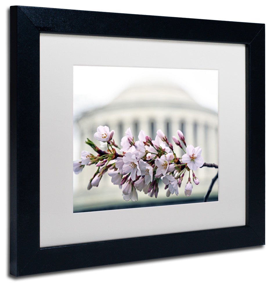 CATeyes 'Jefferson Memorial Blossoms' Matted Framed Art, 11x14