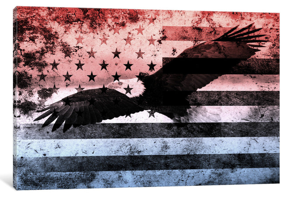 USA "Melting Film" Flag (Bald Eagle)" by iCanvas, 18x12x1.5"