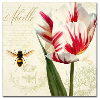 Tina Lavoie 'Natural History Sketchbook II' Canvas Art, 18" x 18"