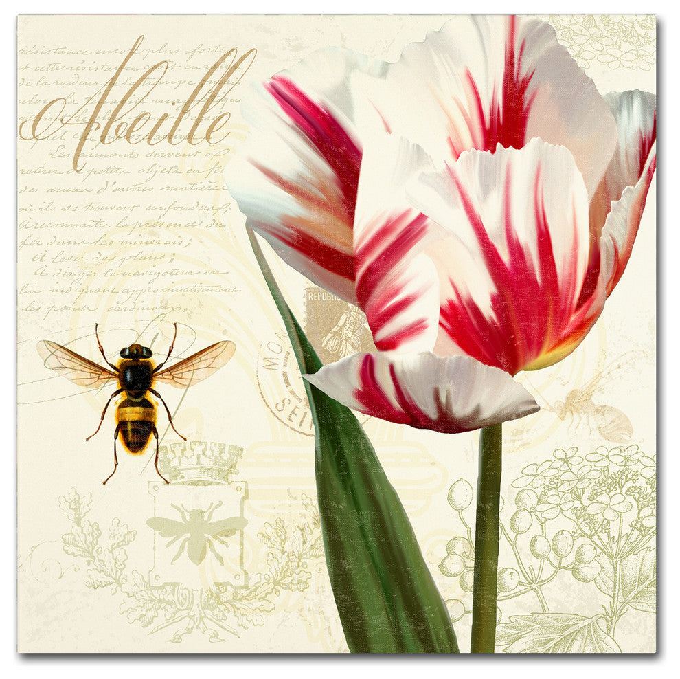 Tina Lavoie 'Natural History Sketchbook II' Canvas Art, 18" x 18"