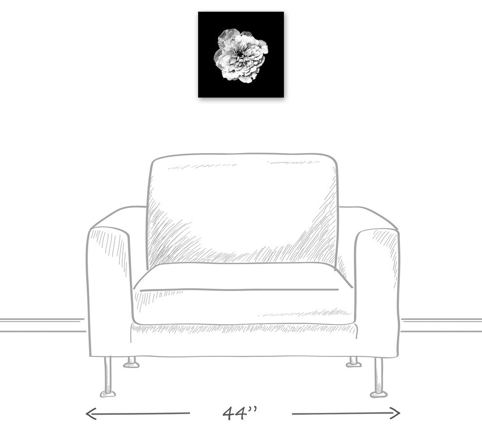 White Flower on Black Background Print on Canvas